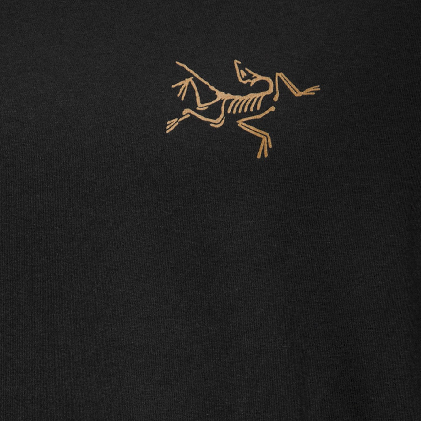 Arc'teryx Men's Kragg Cotton Long Sleeve T-Shirt