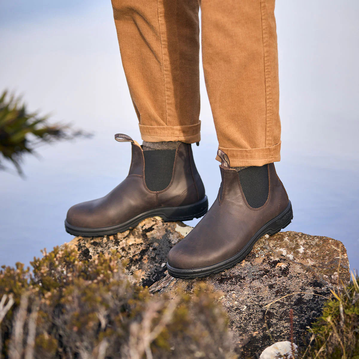 Blundstone 2340 Classic Chelsea Boots