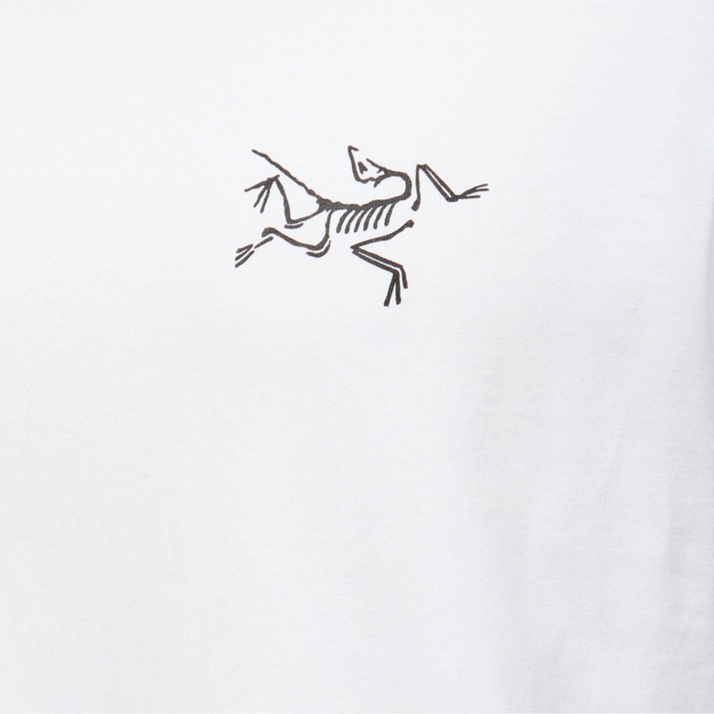 Arc'teryx Men's Kragg Cotton Long Sleeve T-Shirt