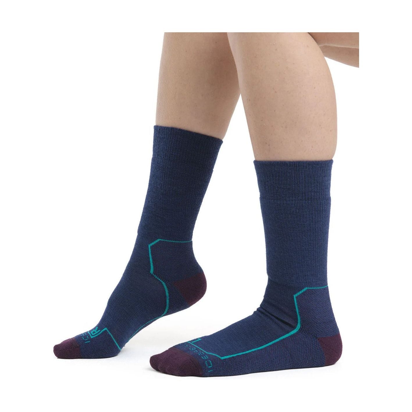 Icebreaker Women's Merino Hike+ Medium Crew Socks