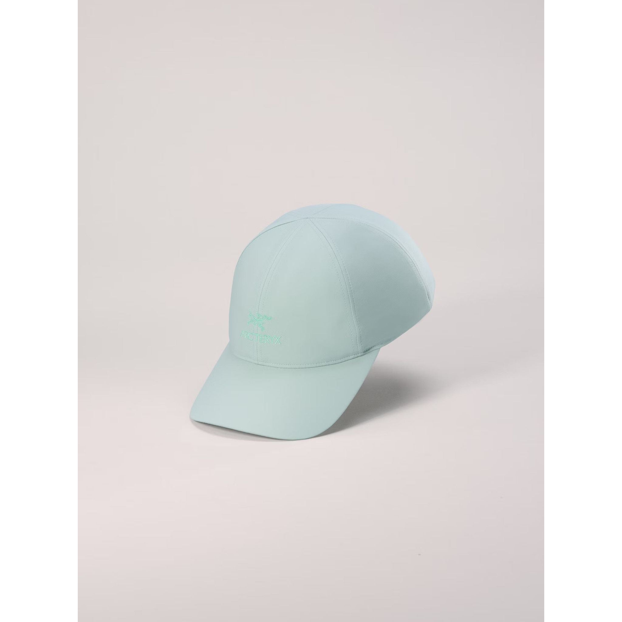 Arc'teryx Bird Word Cap