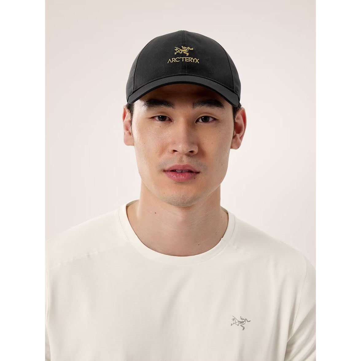 Arc'teryx Bird Word Cap