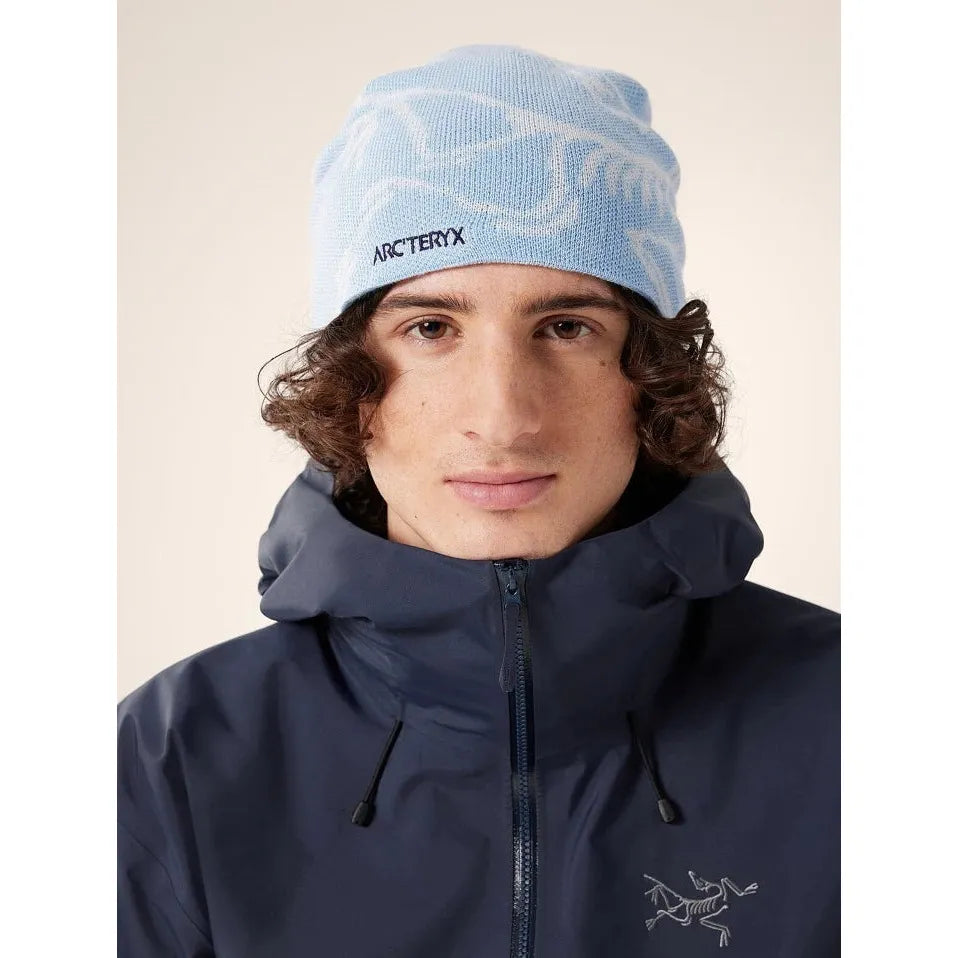 Arc'teryx Bird Head Toque Beanie