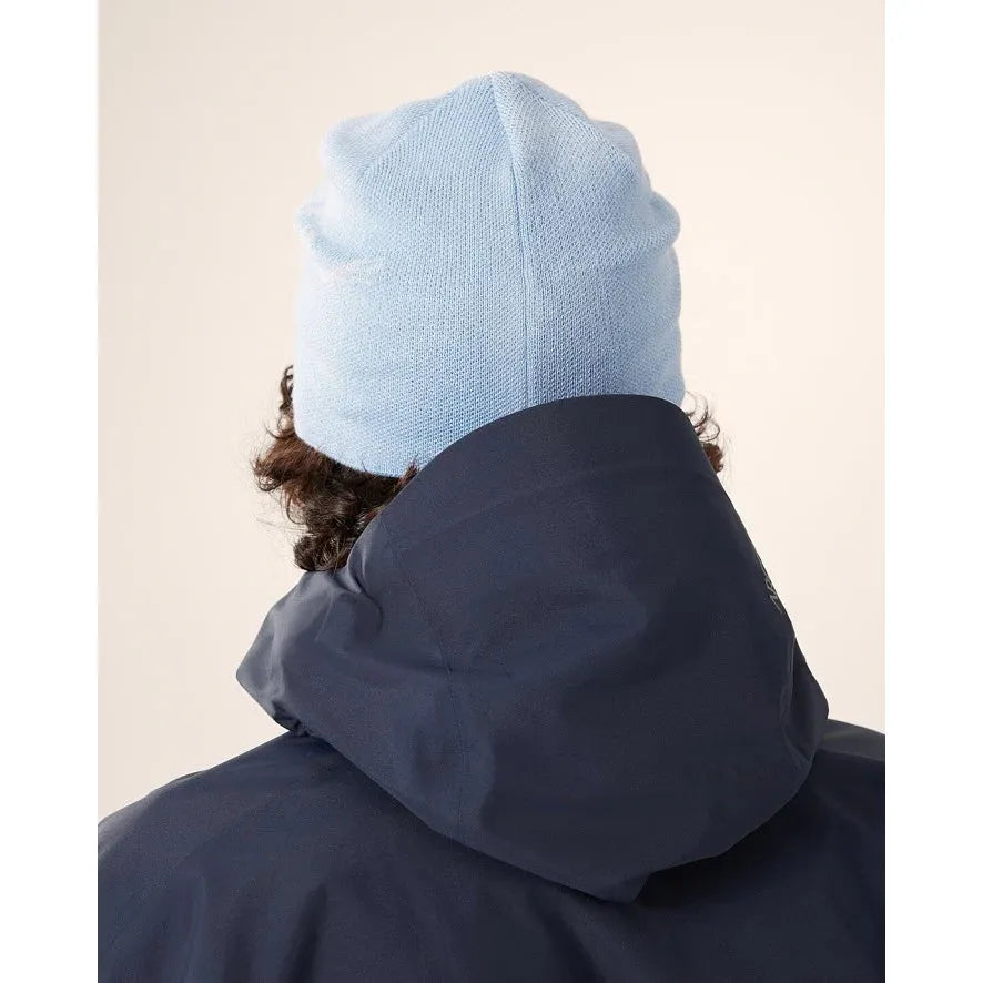 Arc'teryx Bird Head Toque Beanie