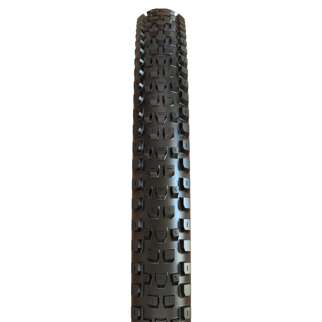 Maxxis Dissector Gen 2 Tyre 29' 3C/DD/TR Maxx Grip Foldable