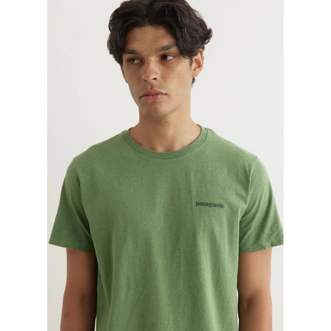 Patagonia Fitz Roy Icon Responsibili-Tee