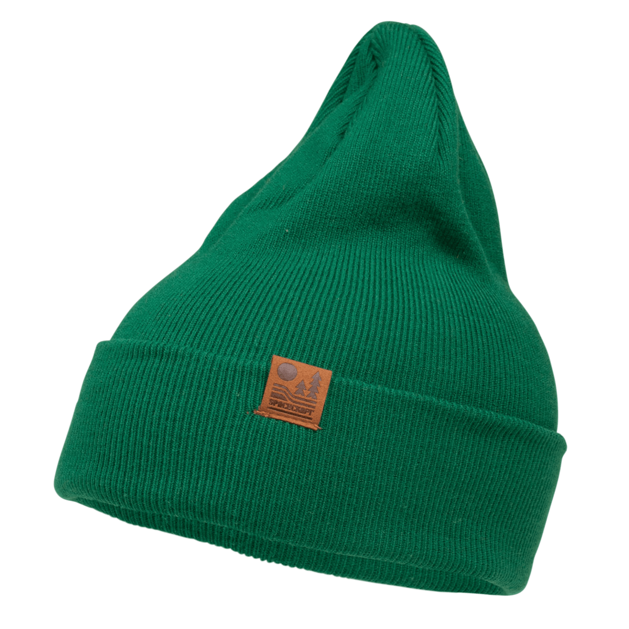 Spacecraft Otis Beanie
