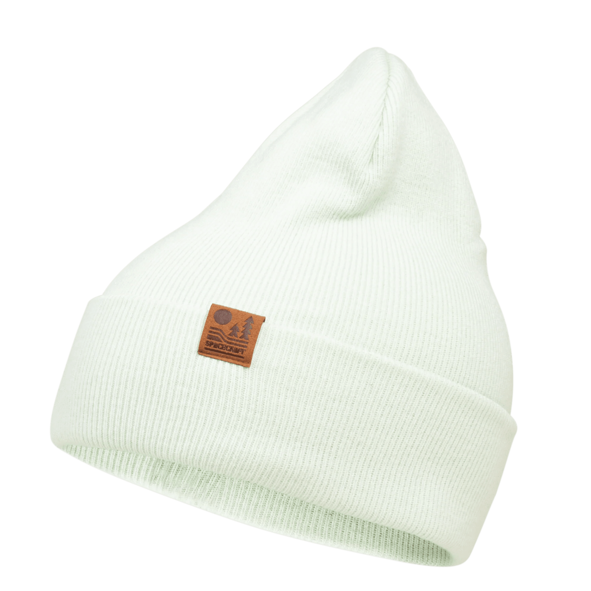 Spacecraft Otis Beanie