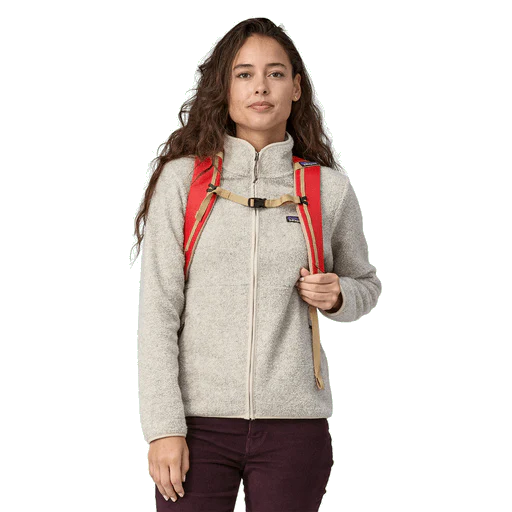 Patagonia Black Hole Pack 25L