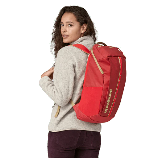 Patagonia Black Hole Pack 25L