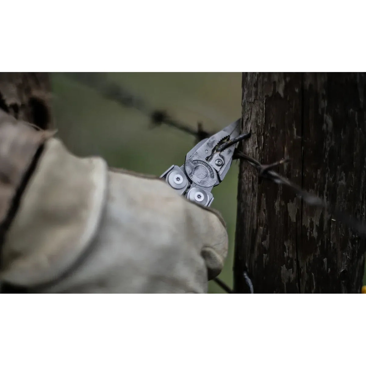 Leatherman Surge Multi-Tool